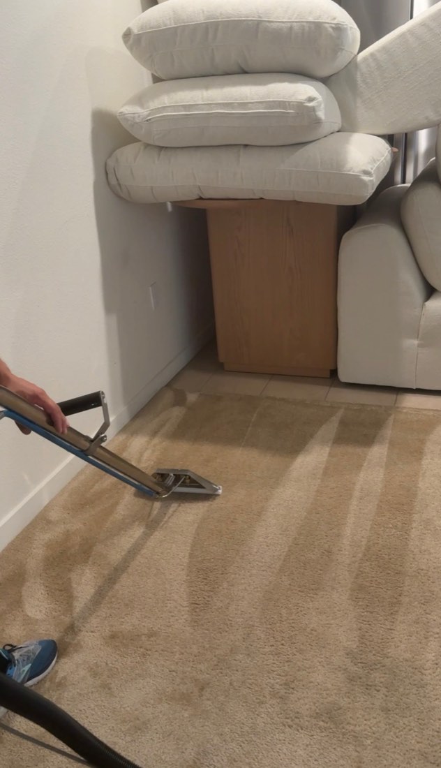Carpet: clean extraction lanes