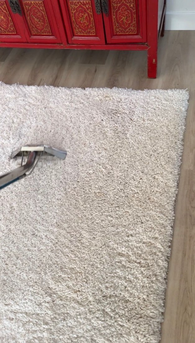 White shag rug, wand path